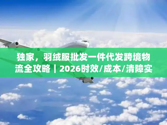 独家，羽绒服批发一件代发跨境物流全攻略｜2026时效/成本/清障实战手册