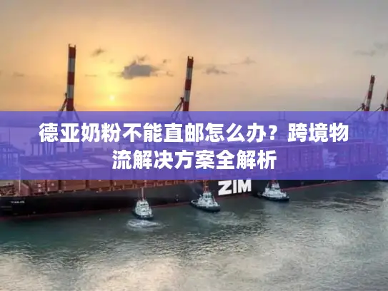 德亚奶粉不能直邮怎么办？跨境物流解决方案全解析