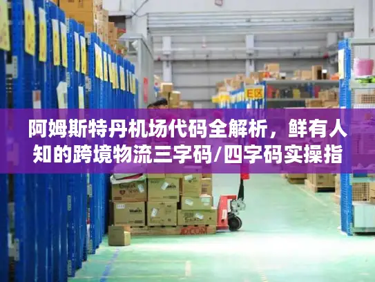 阿姆斯特丹机场代码全解析，鲜有人知的跨境物流三字码/四字码实操指南