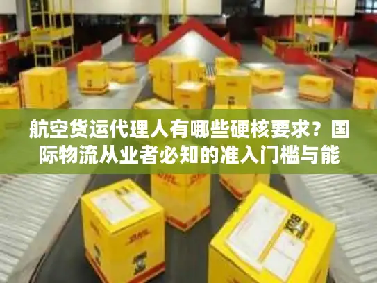 航空货运代理人有哪些硬核要求？国际物流从业者必知的准入门槛与能力标准