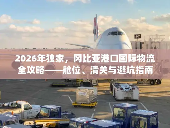 2026年独家，冈比亚港口国际物流全攻略——舱位、清关与避坑指南