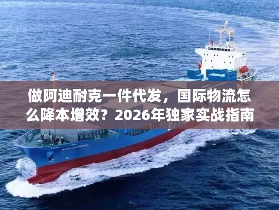 做阿迪耐克一件代发，国际物流怎么降本增效？2026年独家实战指南