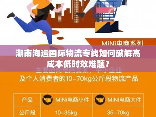 湖南海运国际物流专线如何破解高成本低时效难题？