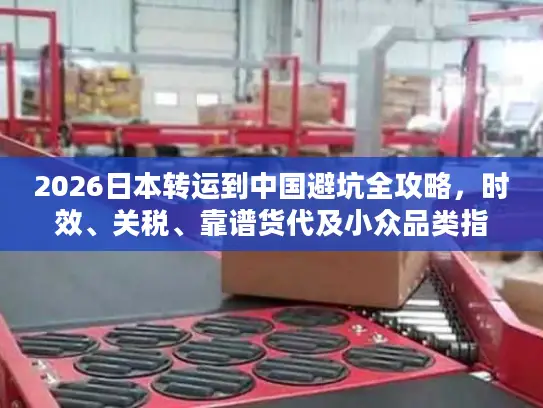 2026日本转运到中国避坑全攻略，时效、关税、靠谱货代及小众品类指南