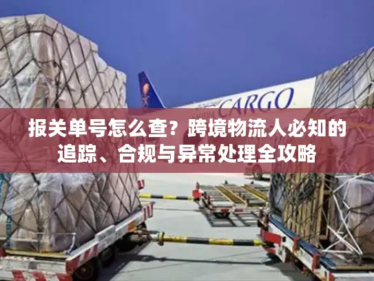 报关单号怎么查？跨境物流人必知的追踪、合规与异常处理全攻略