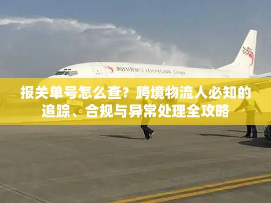 报关单号怎么查？跨境物流人必知的追踪、合规与异常处理全攻略