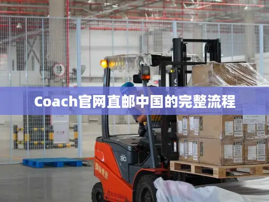 Coach官网直邮中国的完整流程