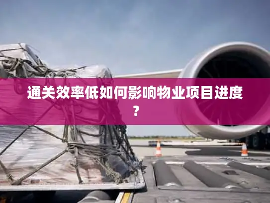 通关效率低如何影响物业项目进度？