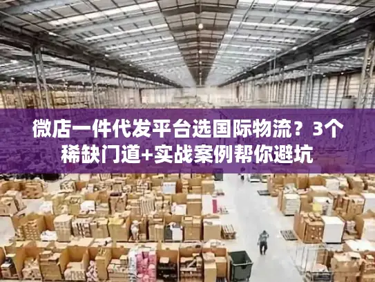微店一件代发平台选国际物流？3个稀缺门道+实战案例帮你避坑