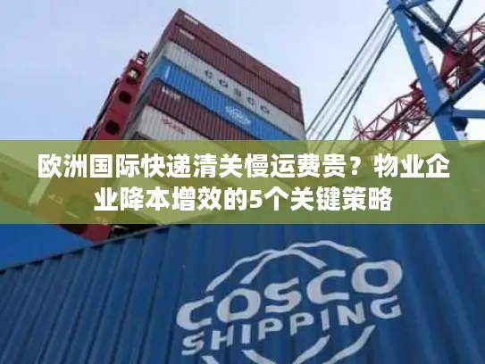 欧洲国际快递清关慢运费贵？物业企业降本增效的5个关键策略