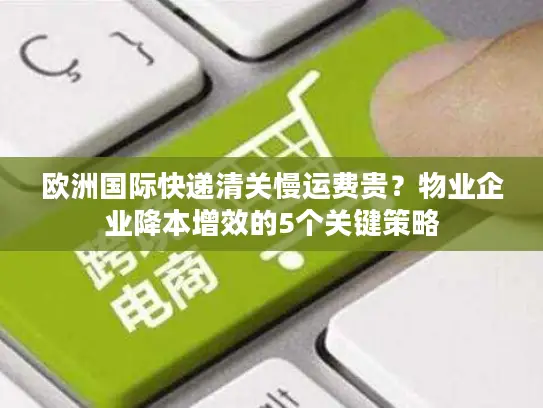 欧洲国际快递清关慢运费贵？物业企业降本增效的5个关键策略