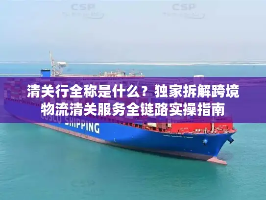 清关行全称是什么？独家拆解跨境物流清关服务全链路实操指南