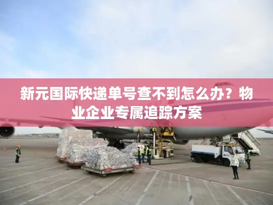 新元国际快递单号查不到怎么办？物业企业专属追踪方案