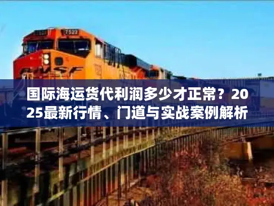 国际海运货代利润多少才正常？2025最新行情、门道与实战案例解析