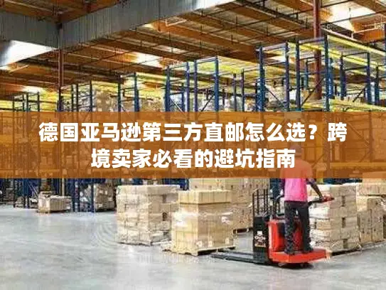 德国亚马逊第三方直邮怎么选？跨境卖家必看的避坑指南