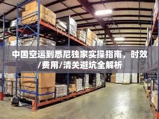 中国空运到悉尼独家实操指南，时效/费用/清关避坑全解析