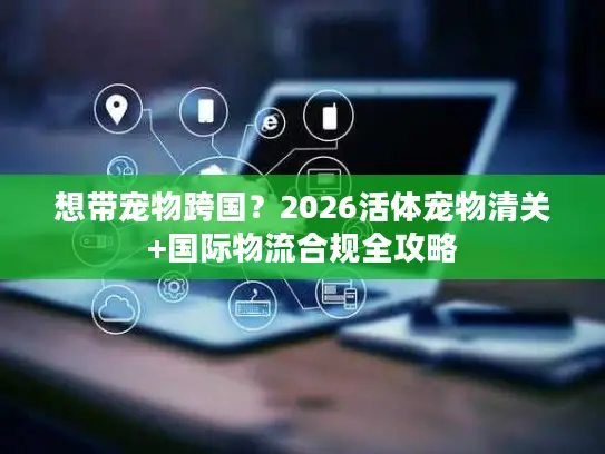 想带宠物跨国？2026活体宠物清关+国际物流合规全攻略