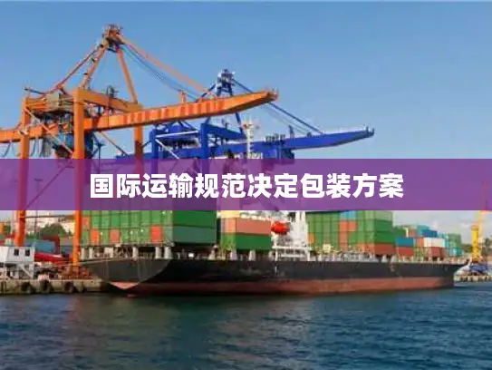国际运输规范决定包装方案