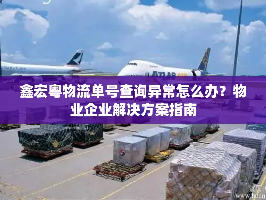 鑫宏粤物流单号查询异常怎么办？物业企业解决方案指南