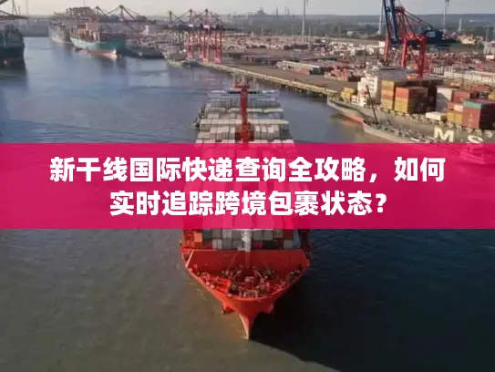 新干线国际快递查询全攻略，如何实时追踪跨境包裹状态？