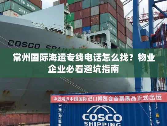 常州国际海运专线电话怎么找？物业企业必看避坑指南