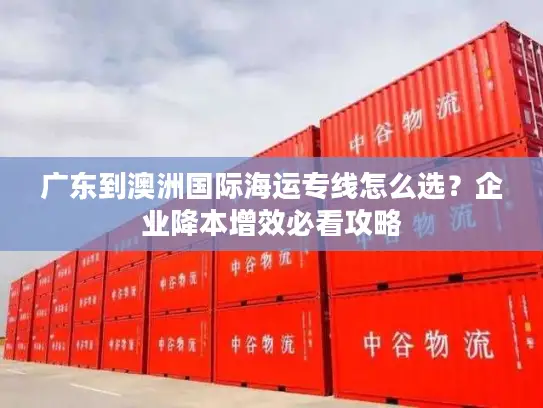 广东到澳洲国际海运专线怎么选？企业降本增效必看攻略