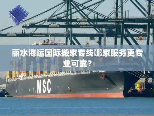 丽水海运国际搬家专线哪家服务更专业可靠？