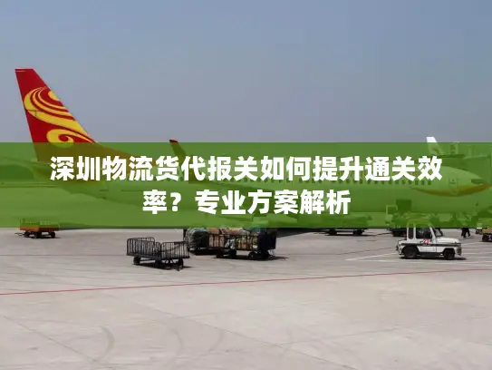 深圳物流货代报关如何提升通关效率？专业方案解析