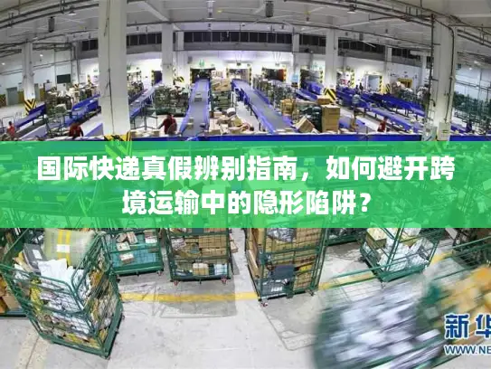 国际快递真假辨别指南，如何避开跨境运输中的隐形陷阱？
