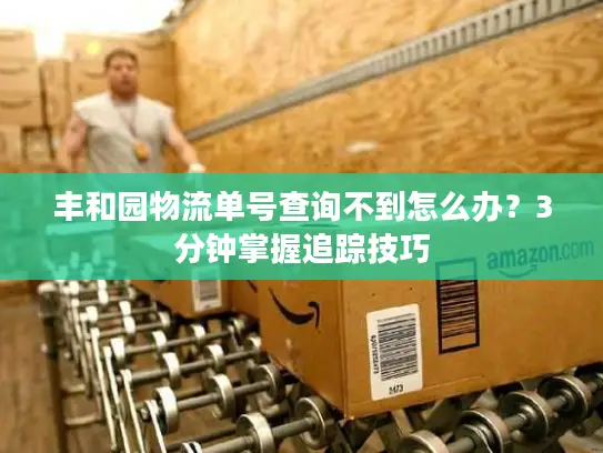 丰和园物流单号查询不到怎么办？3分钟掌握追踪技巧