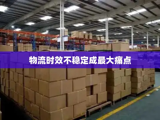 物流时效不稳定成最大痛点