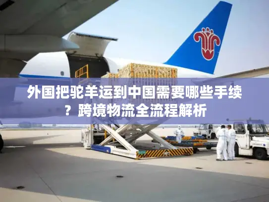 外国把驼羊运到中国需要哪些手续？跨境物流全流程解析