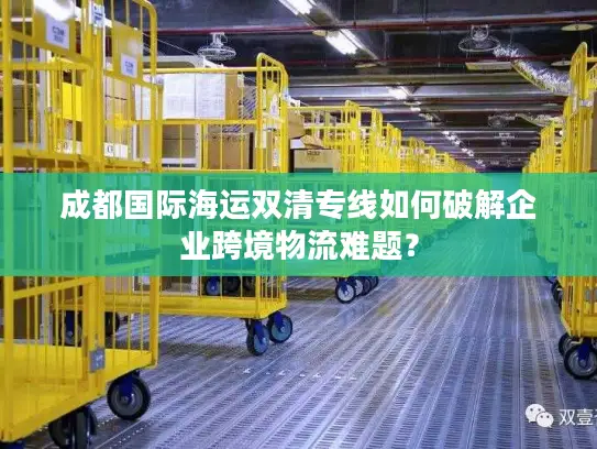 成都国际海运双清专线如何破解企业跨境物流难题？