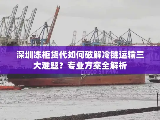 深圳冻柜货代如何破解冷链运输三大难题？专业方案全解析