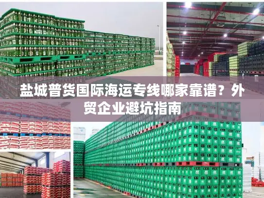 盐城普货国际海运专线哪家靠谱？外贸企业避坑指南