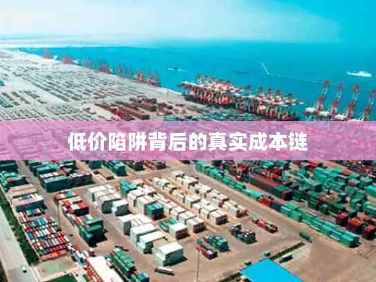 低价陷阱背后的真实成本链
