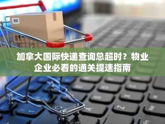 加拿大国际快递查询总超时？物业企业必看的通关提速指南