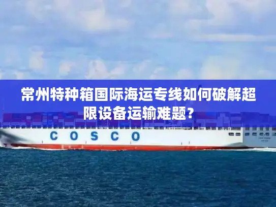 常州特种箱国际海运专线如何破解超限设备运输难题？