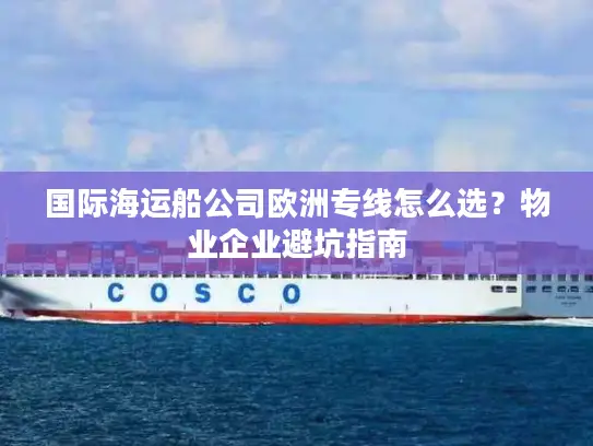 国际海运船公司欧洲专线怎么选？物业企业避坑指南