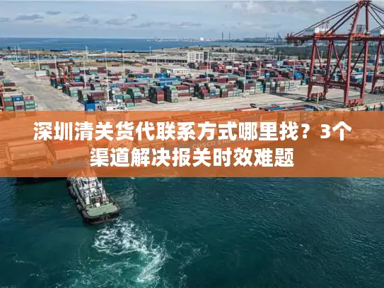 深圳清关货代联系方式哪里找？3个渠道解决报关时效难题