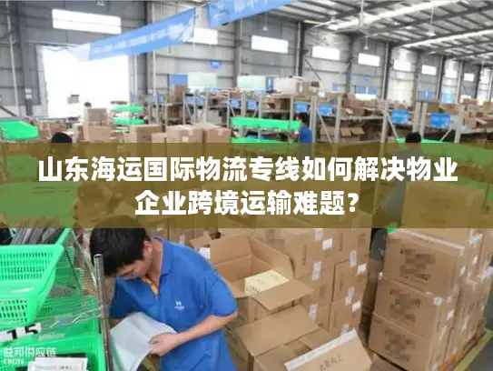 山东海运国际物流专线如何解决物业企业跨境运输难题？