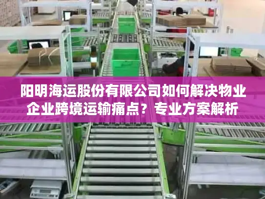 阳明海运股份有限公司如何解决物业企业跨境运输痛点？专业方案解析