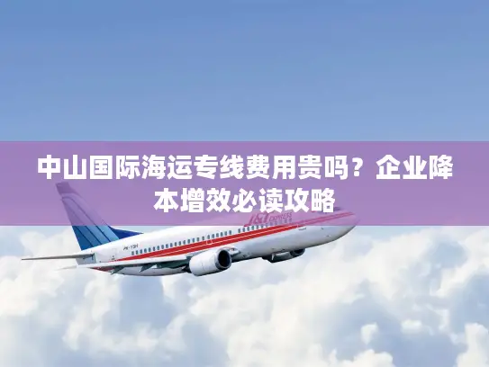 中山国际海运专线费用贵吗？企业降本增效必读攻略