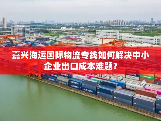 嘉兴海运国际物流专线如何解决中小企业出口成本难题？