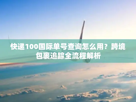快递100国际单号查询怎么用？跨境包裹追踪全流程解析