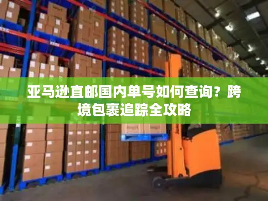 亚马逊直邮国内单号如何查询？跨境包裹追踪全攻略