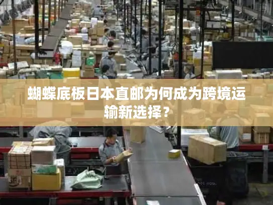 蝴蝶底板日本直邮为何成为跨境运输新选择？