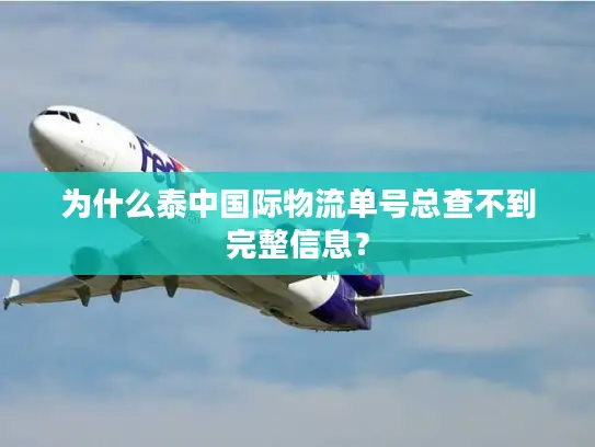 为什么泰中国际物流单号总查不到完整信息？
