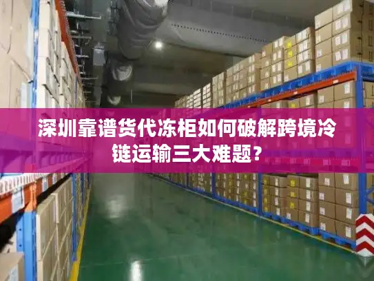深圳靠谱货代冻柜如何破解跨境冷链运输三大难题？