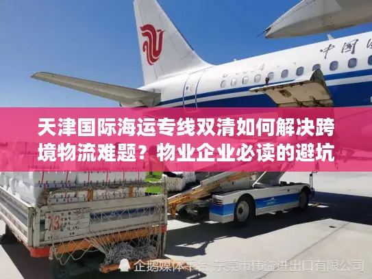 天津国际海运专线双清如何解决跨境物流难题？物业企业必读的避坑指南